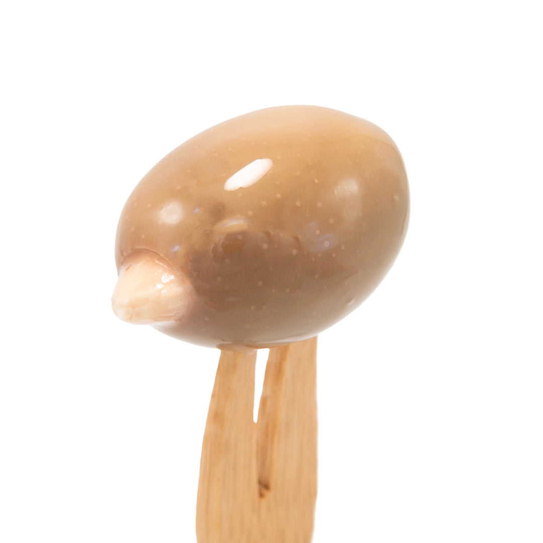 Olive Denocciolate Verdi Con Mandorla