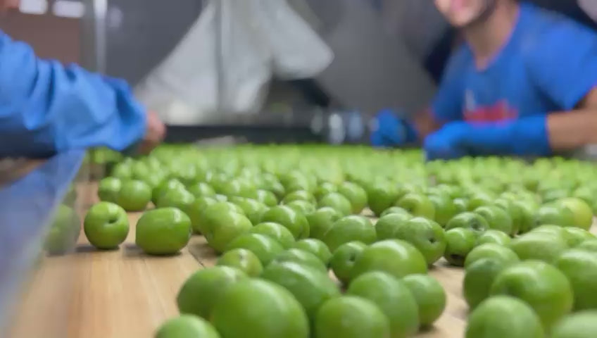 Olive Verdi Nocellara Grandi in salamoia